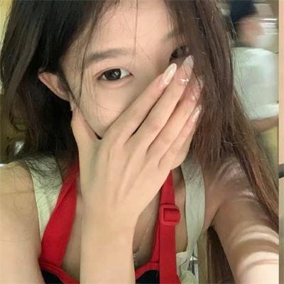 大象与小蝶物语